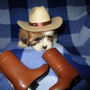 Meet your Posher, Glenda